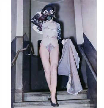 陆少的隐婚罪妻南溪