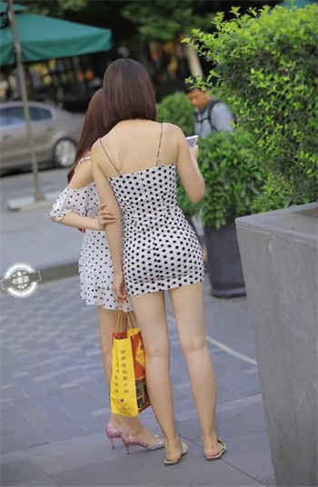 爱情公寓之咸鱼