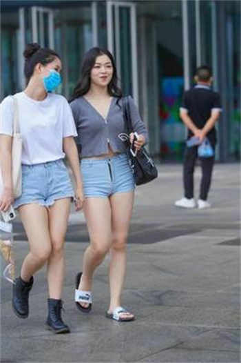 捡来的老婆是律师